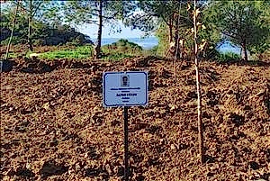 Vefat Eden Mezunumuz Fidan Dikim Etkinliği İle Anıldı